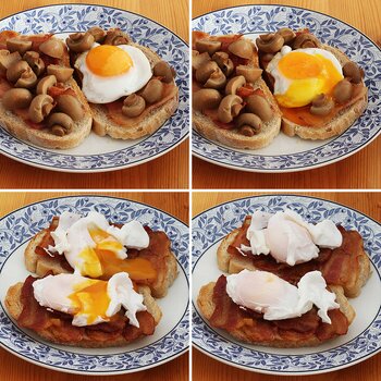 Bacon and egg