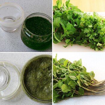 Mint sauce