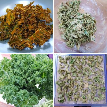 Recipe - Pizza Flavoured Kale Crisps