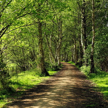 May 2017 - Spring Colours, Whitegate Way, Cheshire