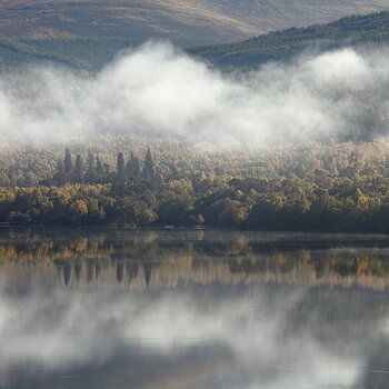 October 2017 - A Foggy Forest, Loch Rannoch