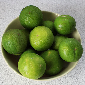 Limes