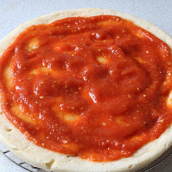 Chopped fresh tomato and puree.