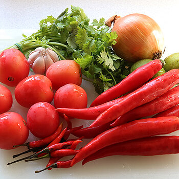Salsa Ingredients
