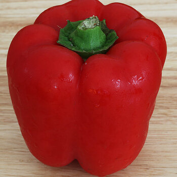 Red capsicum