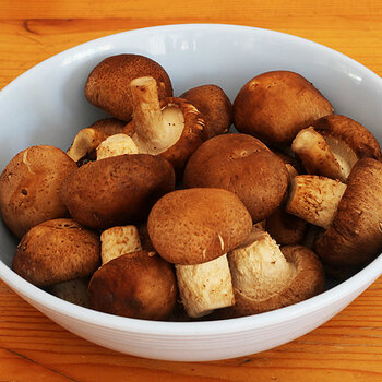 Shiitake mushrooms