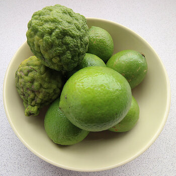 1. The limes; ordinary and kaffir.