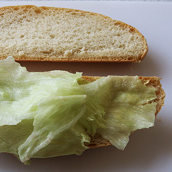 Iceberg lettuce