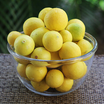 Limes.