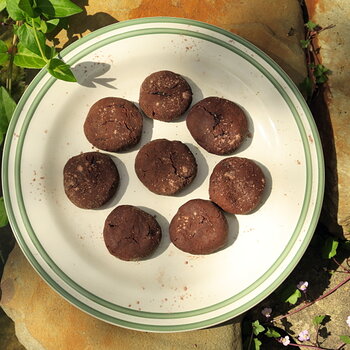 Chickpea Double Choc Chip Cookies