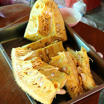 Jackfruit