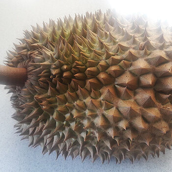 Durian