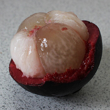 Mangosteen