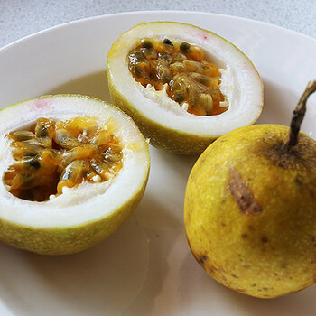 Passion fruit