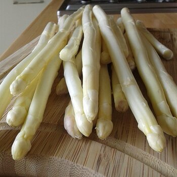 White asparagus