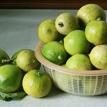 Limes, no flash