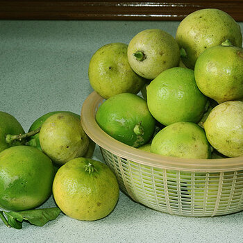 Limes, flash