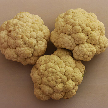 Small cauliflowers.