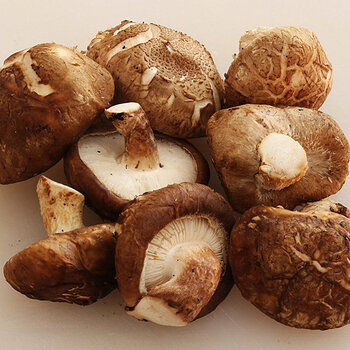 Shiitake mushrooms