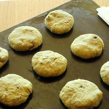 The Avocado Chocolate Chunk Cookie/Scone Experiment