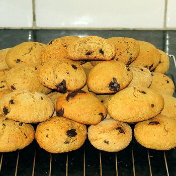 The Avocado Chocolate Chunk Cookie/Scone Experiment