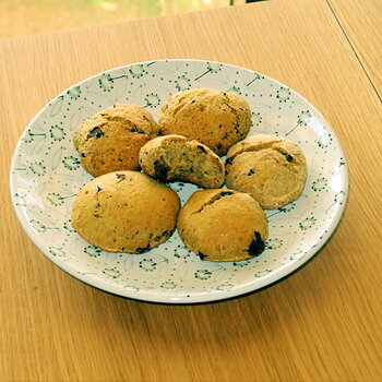 The Avocado Chocolate Chunk Cookie/Scone Experiment