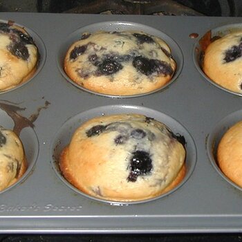 Blueberry Muffins