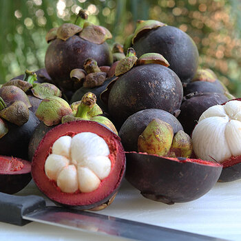 Mangosteen f9