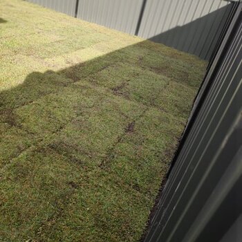 Grass Truf