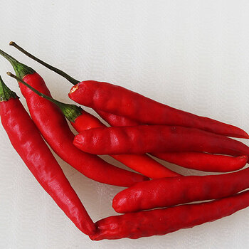 Fresh red Thai hot chillies