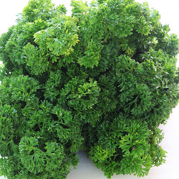 Parsley.