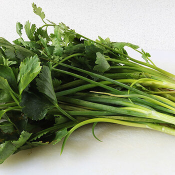 Spring onion, coriander and parsley