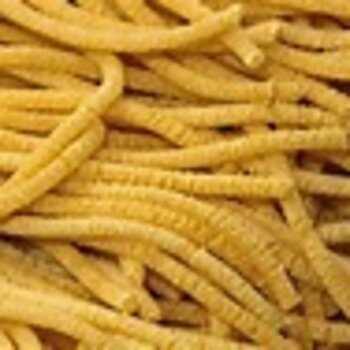 Bigoli Pasta