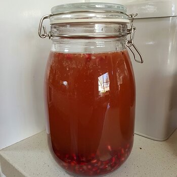 Water kefir (pomegranate flavour)