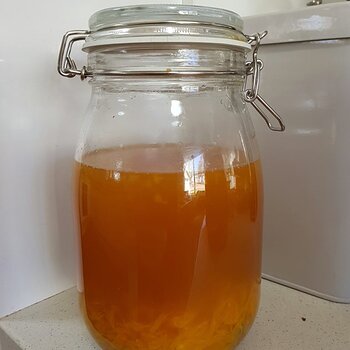 Water kefir (orange and lemon flavour)