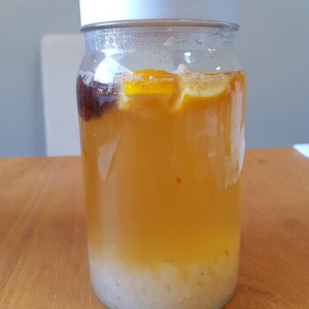 Media 'Water Kefir' in album 'Water Kefir'