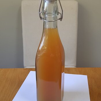 Orange and Lemon Water Kefir