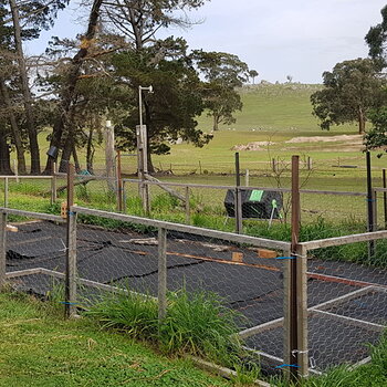 Vegetable Plot