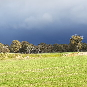 Much needed rain, elsewhere!