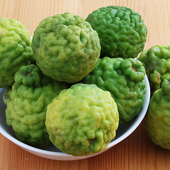 Kaffir limes 1 s.jpg