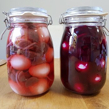 Pickled Eggs in Beetroot Comparison