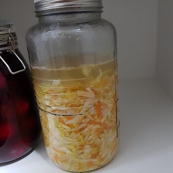 Sauerkraut (no. 3)