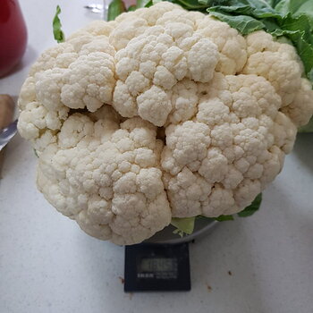 1.8kg Cauliflower