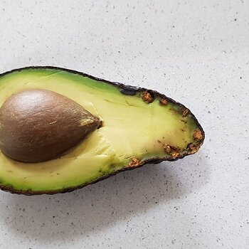 Avocado Problems