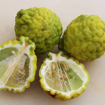 Kaffir limes 2 s.jpg