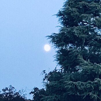 Sun or Moon?.jpeg
