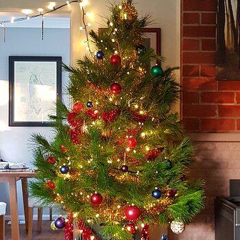 Media 'Christmas morning' in album 'SNSSO's Calendar 2021'