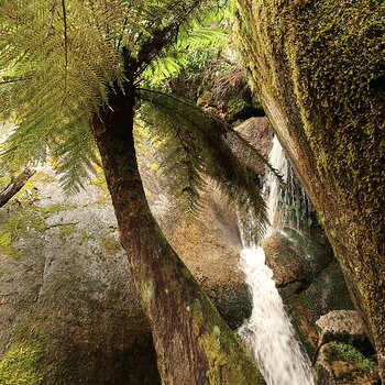 Cascade Waterfall