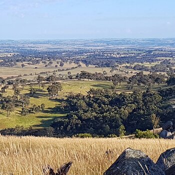 Looking North from the top