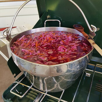 Sweet & Sour Red Cabbage Soup